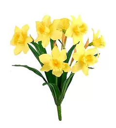 Påsklilja - Gul - 40 cm