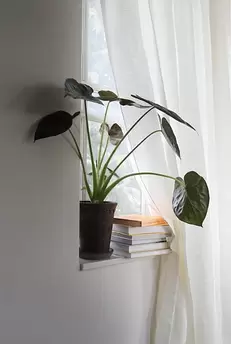 Gardin Alice Linne dubbel bredd Vit Finns i tre Strl: