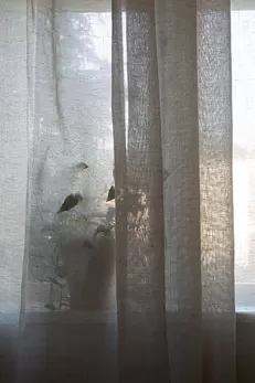 Gardin Sophie halvlinne dubbel bredd Natur Finns i två Strl: