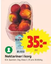 Nektariner