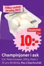 Champinjoner i ask