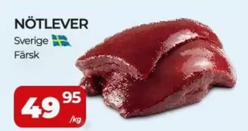 NÖTLEVER