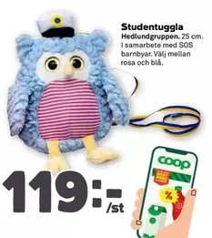 Coop - Studentugglan Hedlundgruppen