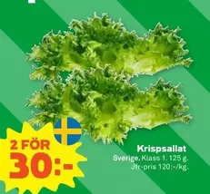 Krispsallat