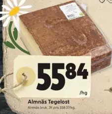 Tegelost