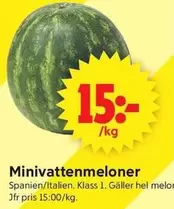 Minivattenmeloner