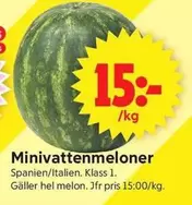 Minivattenmeloner