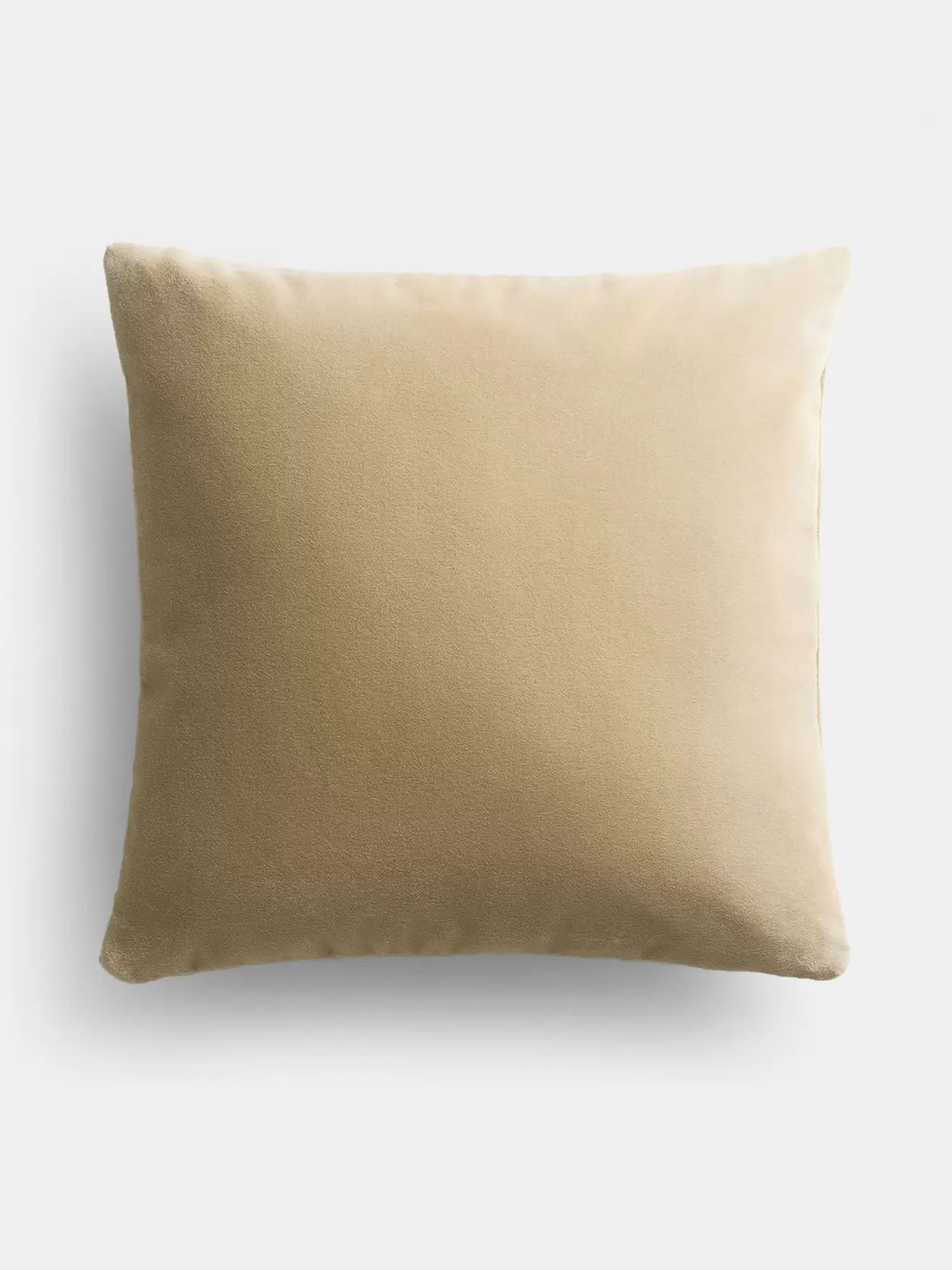 Teddy Velvet Pillow Case