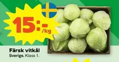 Färsk vitkål