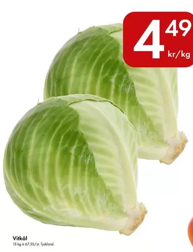 Vitkål