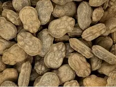 Pulverfylld Padda Lösgodis 3,5 kg