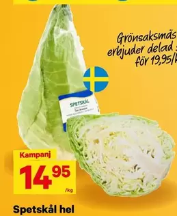 Spetskål hel