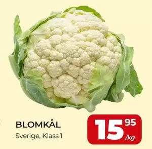 Blomkål