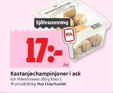 Kastanjechampinjoner i ask