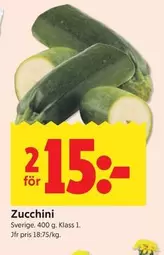 Zucchini