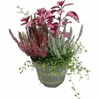 Blommande mixkruka 19cm