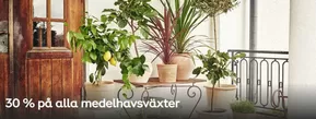 Plantagen-katalog i Skellefteå | Upp till 40%! | 2025-07-29T00:00:00.000Z - 2025-08-12T00:00:00.000Z
