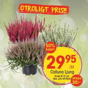 EKO-katalog i Linköping | EKO reklamblad | 2025-08-27T00:00:00.000Z - 2025-09-10T00:00:00.000Z
