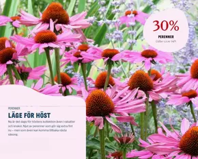 Blomsterlandet-katalog i Eskilstuna | Upp till 30%! | 2025-09-01T00:00:00.000Z - 2025-09-17T00:00:00.000Z