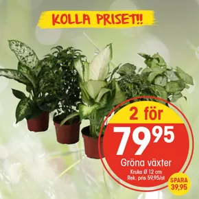 EKO-katalog i Linköping | EKO reklamblad | 2025-09-08T00:00:00.000Z - 2025-09-22T00:00:00.000Z