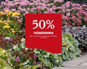 Blomsterlandet-katalog i Mellerud | Upp till 50%! | 2025-09-26T00:00:00.000Z - 2025-10-05T00:00:00.000Z