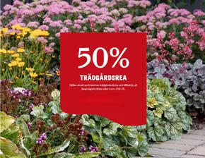 Blomsterlandet-katalog i Haparanda | Upp till 50% trädgårdsrea! | 2025-10-06T00:00:00.000Z - 2025-10-25T00:00:00.000Z