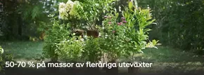 Plantagen-katalog | 50-70% på massor av fleråriga uteväxyer! | 2025-10-13T00:00:00.000Z - 2025-10-28T00:00:00.000Z