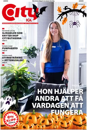 ICA Kvantum-katalog i Motala | Specialerbjudanden för dig | 2025-10-27T00:00:00.000Z - 2025-11-10T00:00:00.000Z