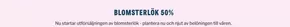 Blomsterlandet-katalog i Örebro | Blomsterlök 50%! | 2025-10-27T00:00:00.000Z - 2025-11-10T00:00:00.000Z