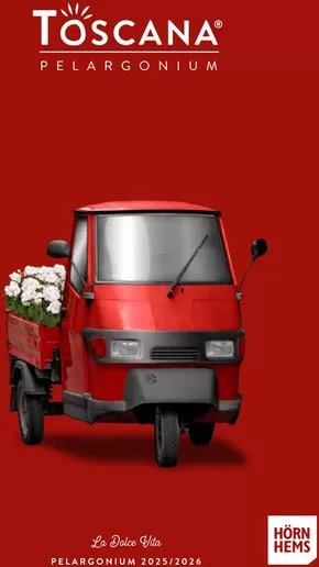 Hörnhems handelsträdgård-katalog i Skellefteå | Toscana pelargonium! | 2025-10-29T00:00:00.000Z - 2026-03-31T00:00:00.000Z