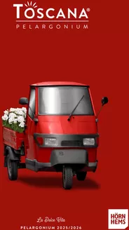 Hörnhems handelsträdgård-katalog | Toscana pelargonium! | 2025-10-29T00:00:00.000Z - 2026-03-31T00:00:00.000Z