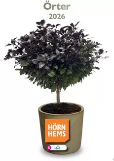 Hörnhems handelsträdgård-katalog | Örter 2026! | 2025-10-30T00:00:00.000Z - 2026-04-30T00:00:00.000Z
