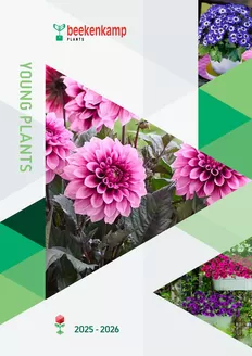 Hörnhems handelsträdgård-katalog i Löddeköpinge | Beekenkamp 2026! | 2025-10-30T00:00:00.000Z - 2026-04-30T00:00:00.000Z