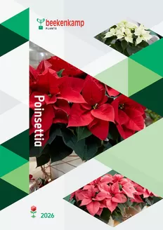Hörnhems handelsträdgård-katalog | Poinsettia 2026! | 2025-10-30T00:00:00.000Z - 2026-04-30T00:00:00.000Z