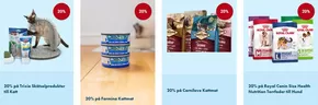 VetZoo-katalog i Boliden | Upp till 30% rabatt! | 2025-11-05T00:00:00.000Z - 2025-11-20T00:00:00.000Z