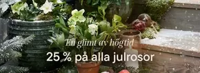 Plantagen-katalog i Södertälje | 25% på alla julrosor! | 2025-11-05T00:00:00.000Z - 2025-11-20T00:00:00.000Z