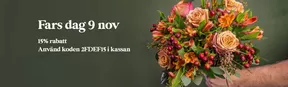 Euroflorist-katalog i Malmö | 15% rabatt! | 2025-11-07T00:00:00.000Z - 2025-11-09T00:00:00.000Z