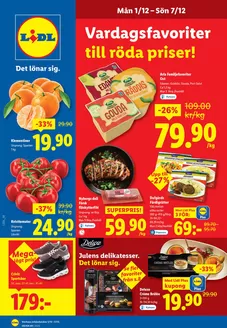 Lidl-katalog | Rabatter och kampanjer | 2025-12-01T00:00:00.000Z - 2025-12-07T00:00:00.000Z