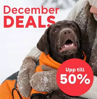 Zoo-katalog i Pajala | December deals!  | 2025-12-04T00:00:00.000Z - 2025-12-25T00:00:00.000Z