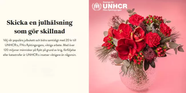 Euroflorist-katalog | Skicka en julhälsning som gör skillnad! | 2025-12-15T00:00:00.000Z - 2025-12-29T00:00:00.000Z