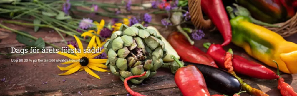 Impecta-katalog | Upp till 30% Off! | 2026-01-12T00:00:00.000Z - 2026-01-27T00:00:00.000Z