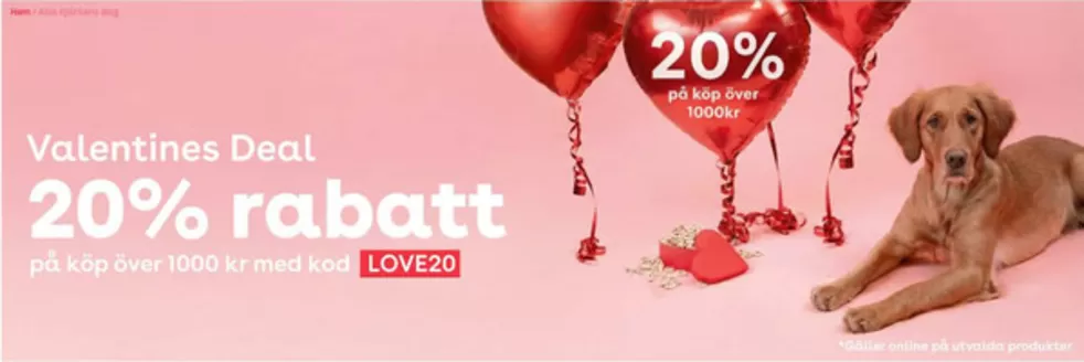 Zoo-katalog | 20% rabatt! | 2026-02-13T00:00:00.000Z - 2026-02-15T00:00:00.000Z
