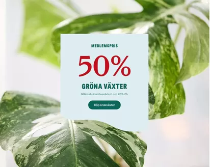 Blomsterlandet-katalog i Färjestaden | 30-50% rabatt! | 2026-03-12T00:00:00.000Z - 2026-03-22T00:00:00.000Z