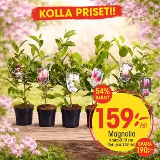 EKO-katalog i Täby | Fantastiskt erbjudande för alla kunder | 2026-03-23T00:00:00.000Z - 2026-04-06T00:00:00.000Z