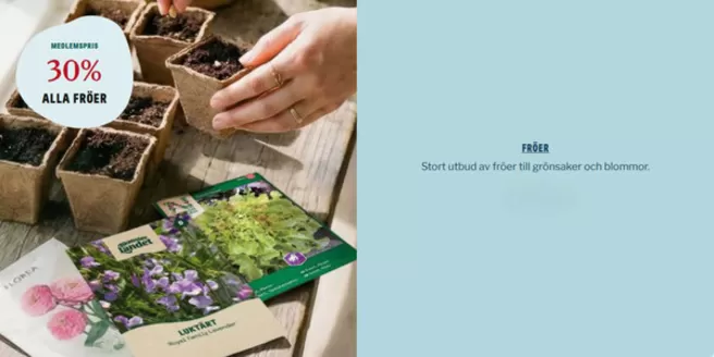 Blomsterlandet-katalog i Lund (Skåne) | Upp till 30%! | 2026-03-24T00:00:00.000Z - 2026-04-06T00:00:00.000Z