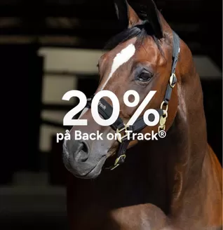 Hööks-katalog | 20-25% rabatt! | 2026-04-07T00:00:00.000Z - 2026-04-21T00:00:00.000Z