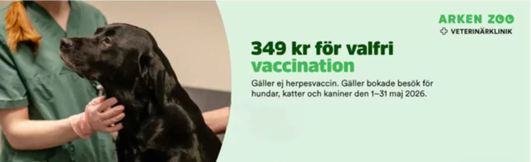 Arken Zoo-katalog | Exklusivt erbjudande! | 2026-05-14T00:00:00.000Z - 2026-05-31T00:00:00.000Z