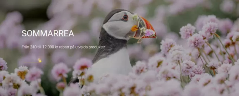 Nikon-katalog | SOMMARREA! | 2026-05-20T00:00:00.000Z - 2026-07-27T00:00:00.000Z