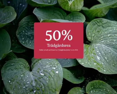 Blomsterlandet-katalog | 50% rabatt! | 2026-06-08T00:00:00.000Z - 2026-06-21T00:00:00.000Z