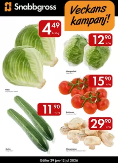 Snabbgross-katalog | Snabbgross Kampanjblad v. 2728 | 2026-06-24T00:00:00.000Z - 2026-07-13T00:00:00.000Z